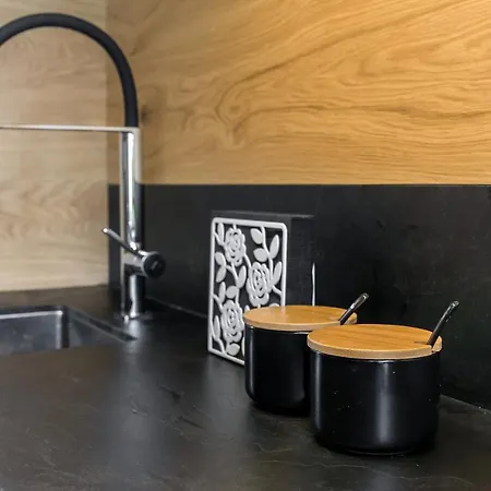 Hisa Krizaj דירה *