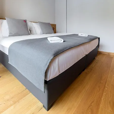 Hisa Krizaj ボーヒニ