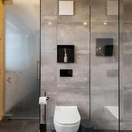 Hisa Krizaj דירה *