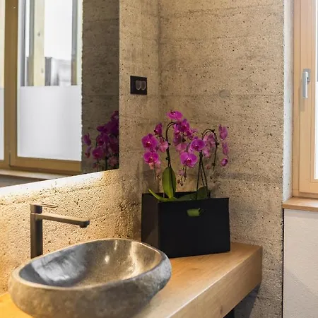 アパート Hisa Krizaj ボーヒニ