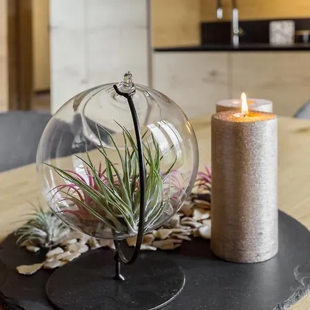 Hisa Krizaj דירה