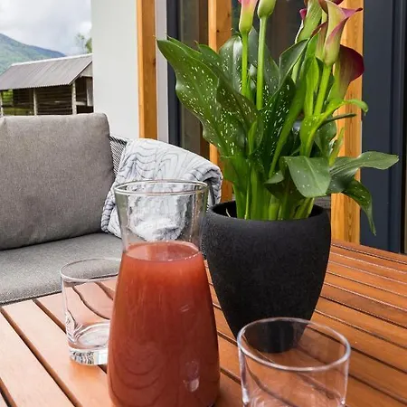 Hisa Krizaj アパート