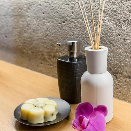 דירה Hisa Krizaj בוהין