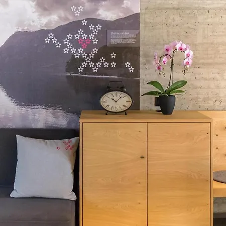 Hisa Krizaj * בוהין