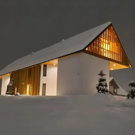 アパート Hisa Krizaj ボーヒニ