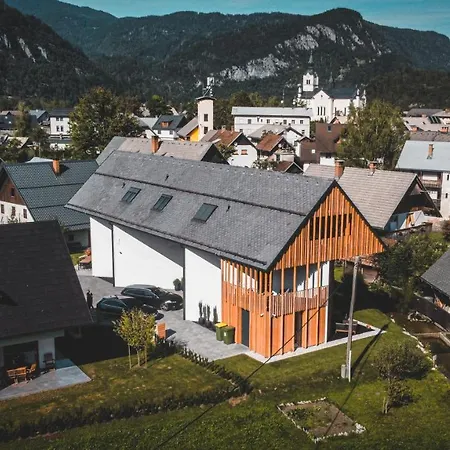 Hisa Krizaj Apartment Bohinj