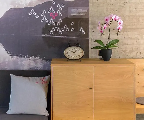 Hisa Krizaj * Bohinj